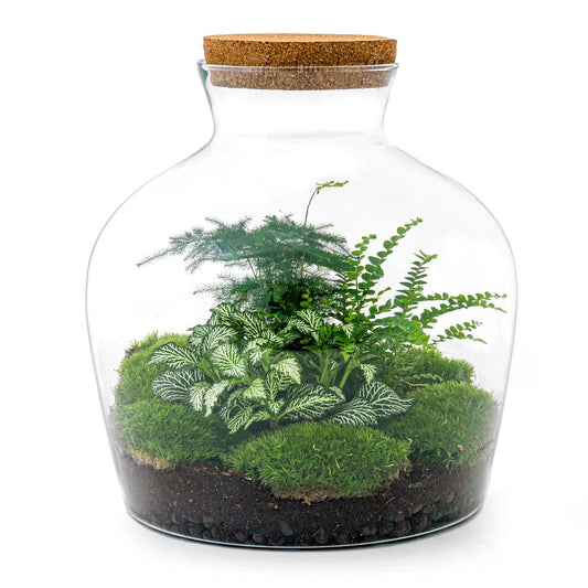 Flaschengarten – Fat Joe Grün – 30 cm – Rechen + Schaufel