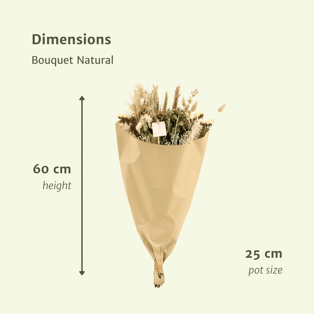 Trockenblumen Feldblumenstrauß Natürlich