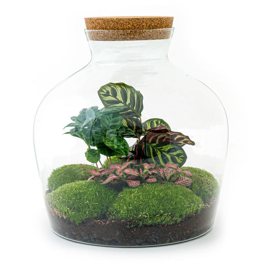 Flaschengarten – Fat Joe Coffea – 30 cm – Rechen + Schaufel
