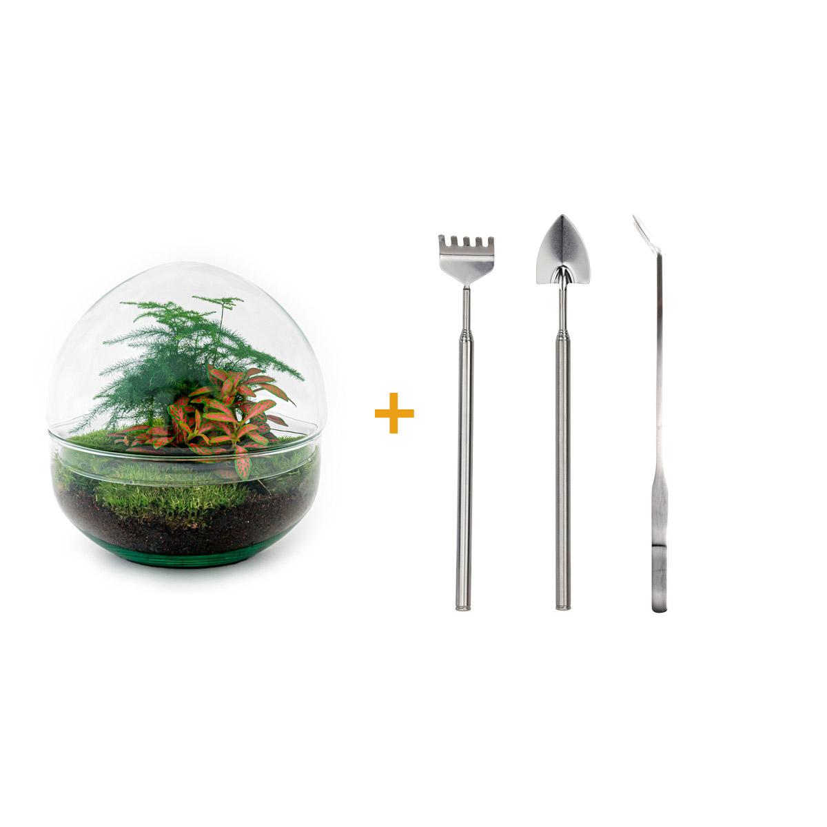 Flaschengarten – Dome Rot – 20 cm – Rechen + Schaufel + Pinzette