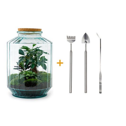 Flaschengarten – Botanischer Garten XL – 35 cm – Rechen + Schaufel + Pinzette