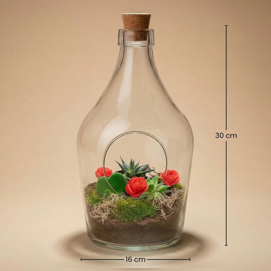 Pflanzenterrarium, Love in a Bottle, DIY-Set, DIY Open Pflanzenterrarium, Ø16 cm ↑ 30 cm