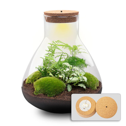 Terrarium – sam xl + led – 32 cm – diy