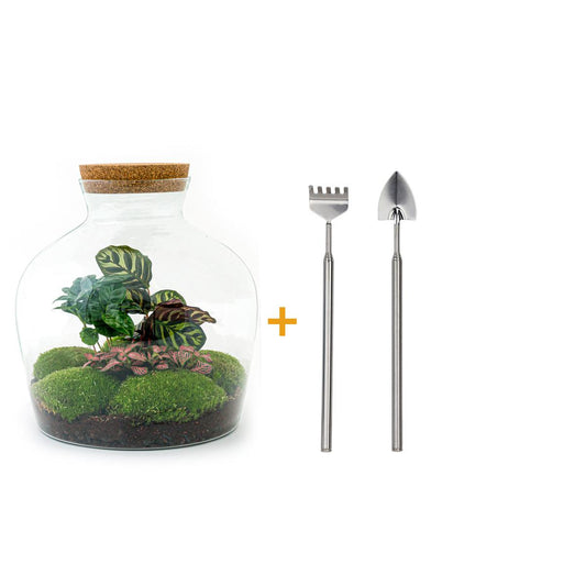 Flaschengarten – Fat Joe Coffea – 30 cm – Rechen + Schaufel