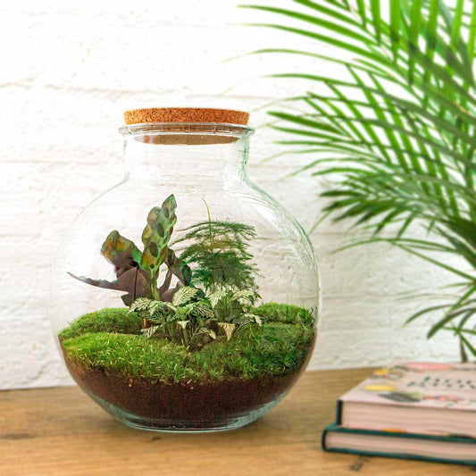 Flaschengarten – Bolder Bob – 30 cm – Rechen + Schaufel + Pinzette + Schere