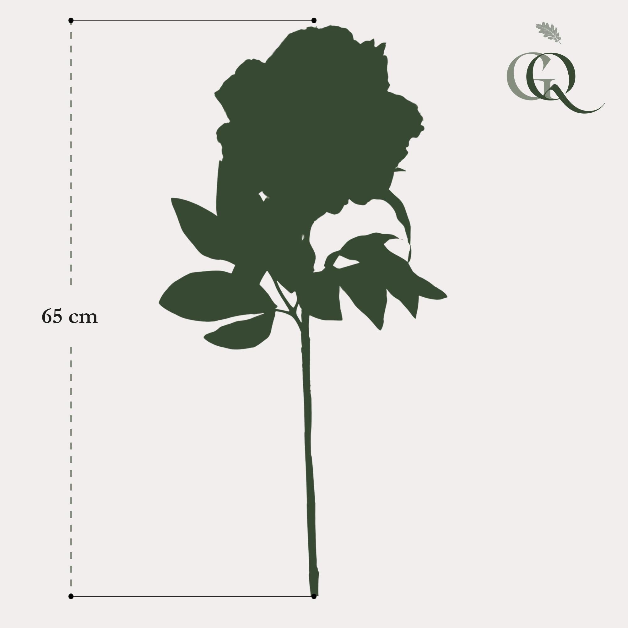 Kunstblumen-Solo, Light Rosa, Peonies, x 5, 65 cm