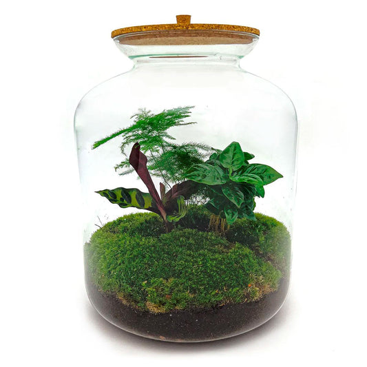 Flaschengarten – Lukas – 33 cm – Rechen + Schaufel + Pinzette