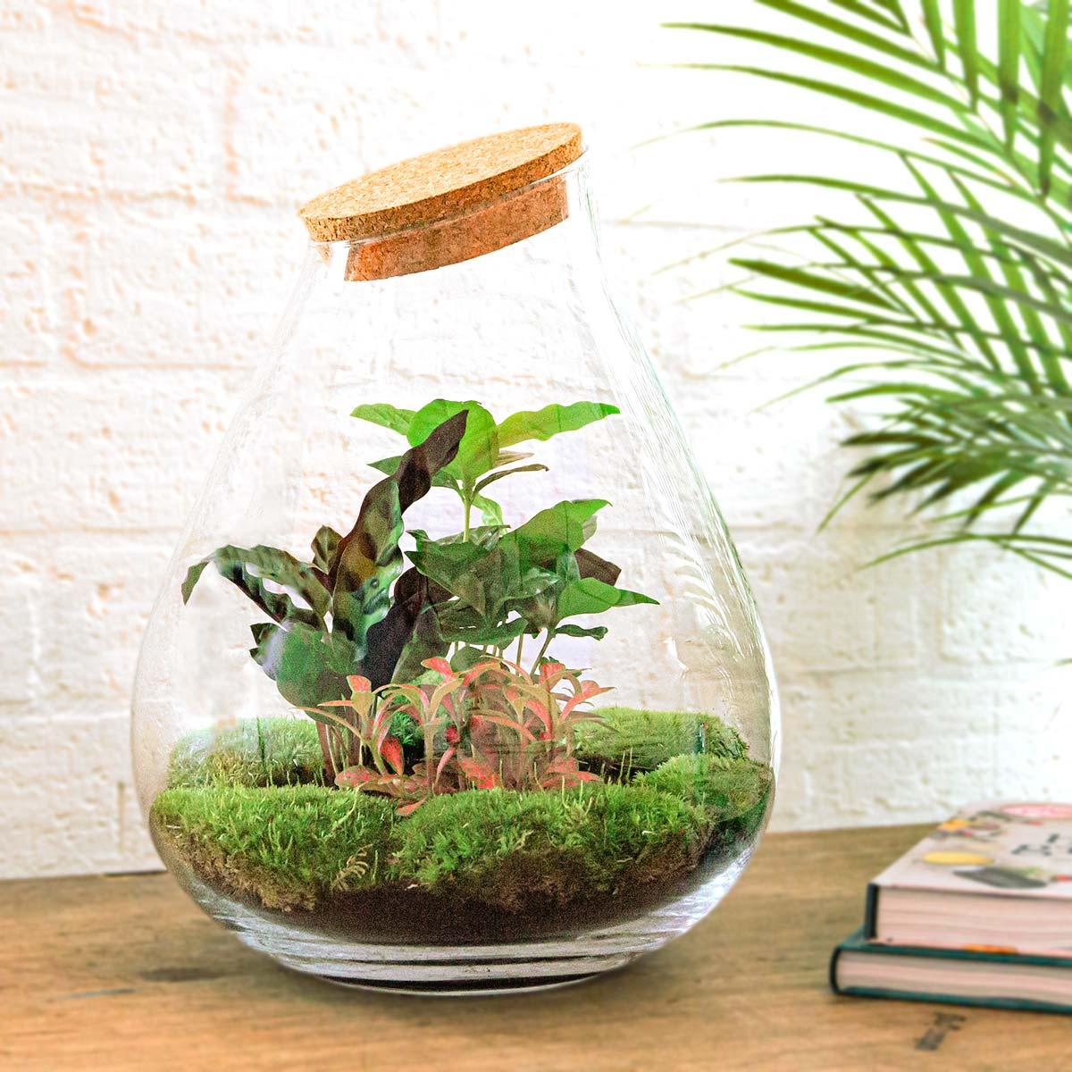 Flaschengarten – Drop XL Rot – 37 cm – Standardausführung