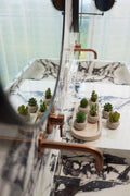 Kunst mini Sukkulenten in cementen Topf, Succulent mix set 6, Ø6,5 cm