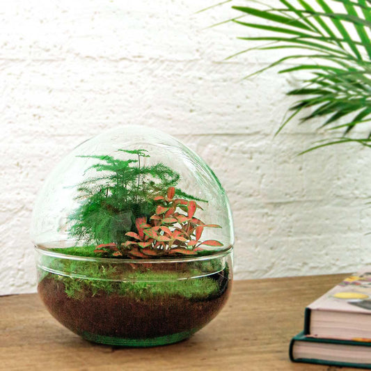 Flaschengarten – Dome Rot – 20 cm – Rechen + Schaufel + Pinzette