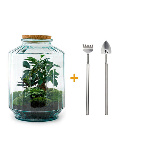 Flaschengarten – Botanischer Garten XL – 35 cm – Rechen + Schaufel