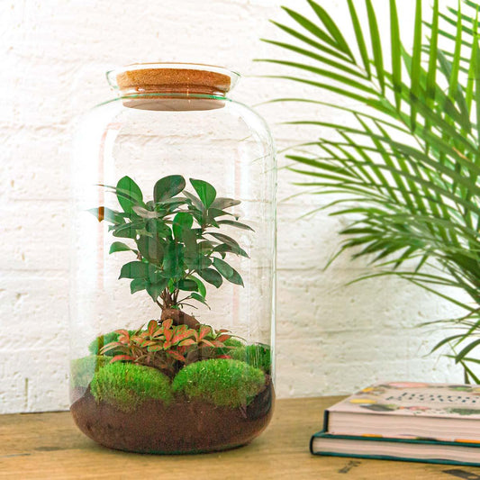 Flaschengarten – sven bonsai – 43 cm – Rechen + Schaufel + Pinzette + Schere