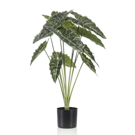 Alocasia – 80 cm – Kunstpflanze