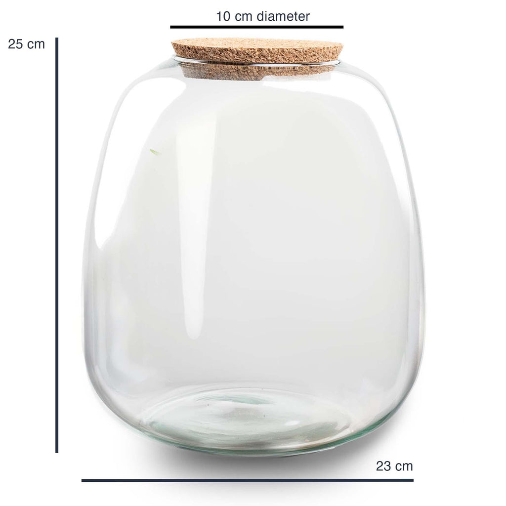 Terrariumflasche „emma“ – 25×23 cm – glas - Botanic-Vibes