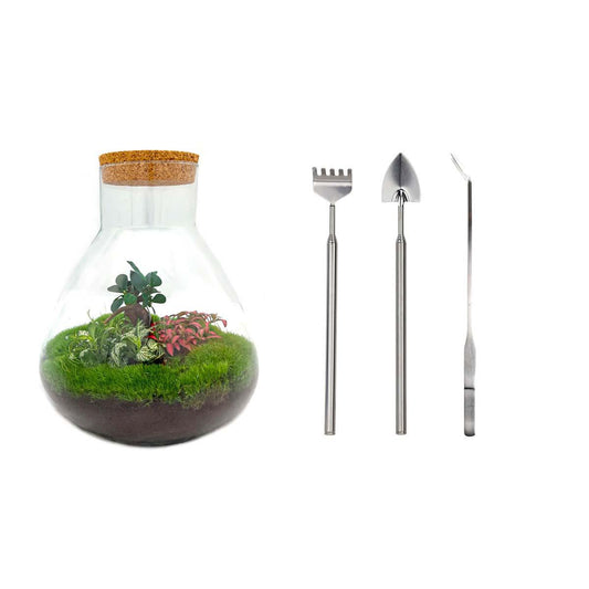 Flaschengarten – sam xl bonsai – 35 cm – Rechen + Schaufel + Pinzette