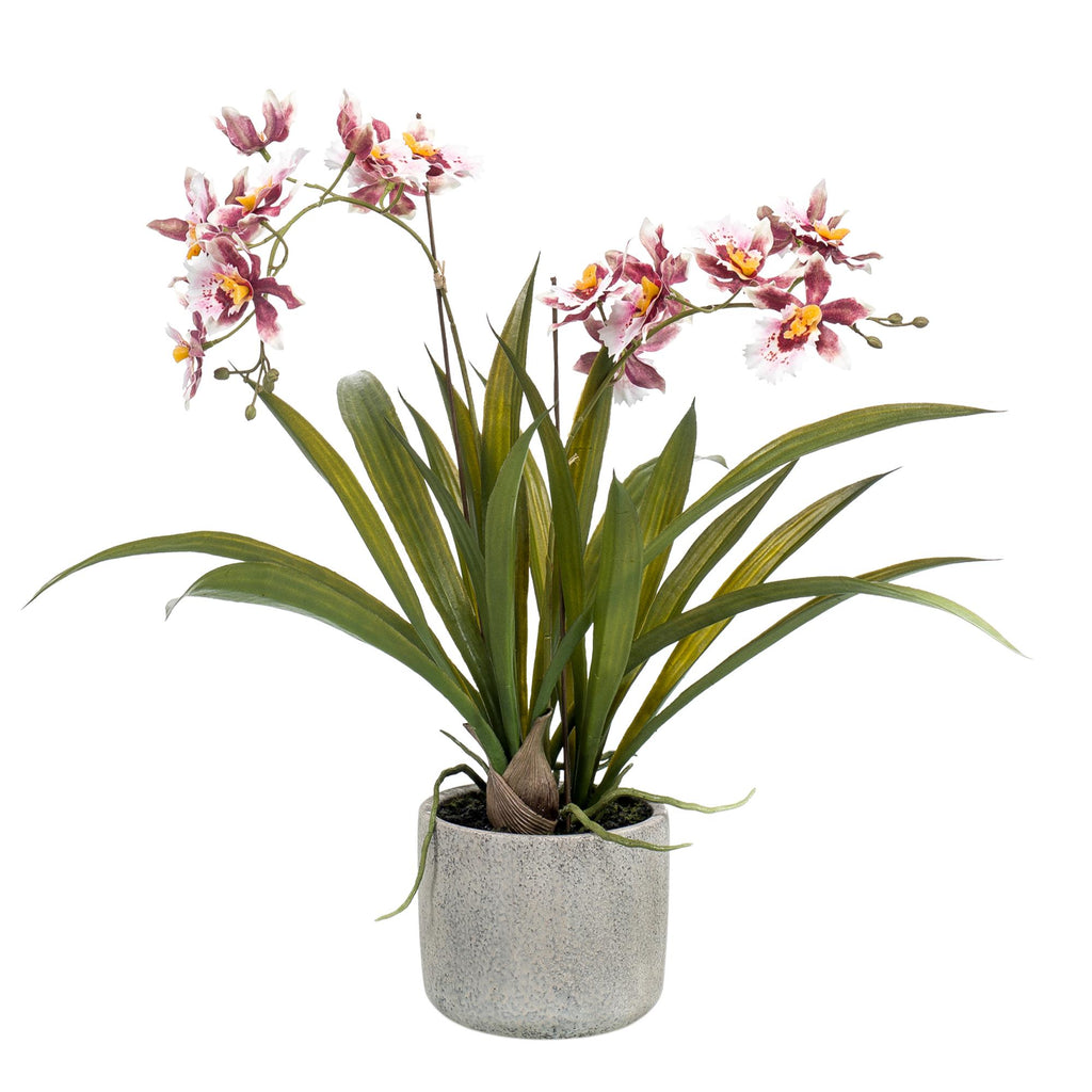 Kunstpflanze, Orchidee, Bordeaux, 45 cm