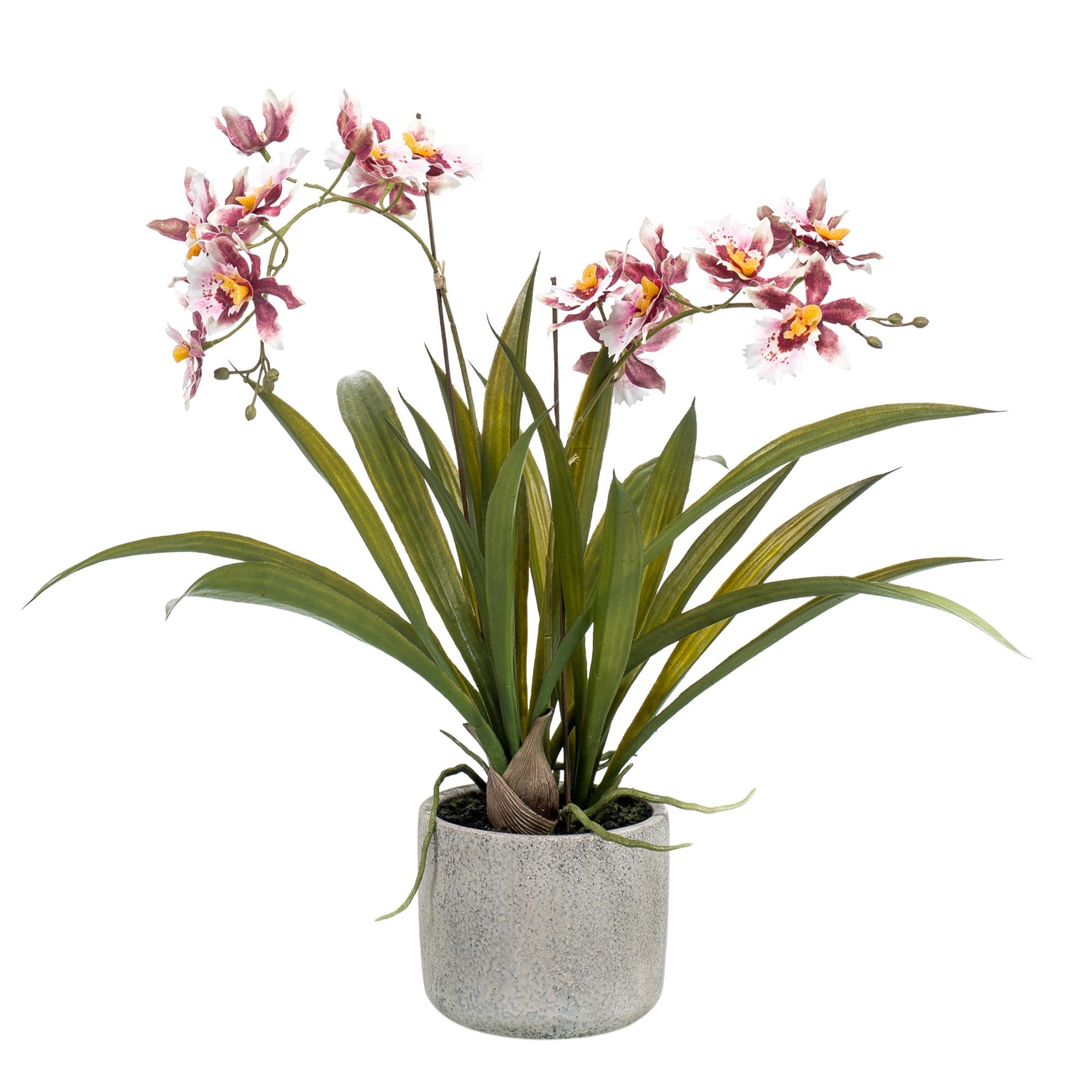 Kunstpflanze, Orchidee, Bordeaux, 45 cm