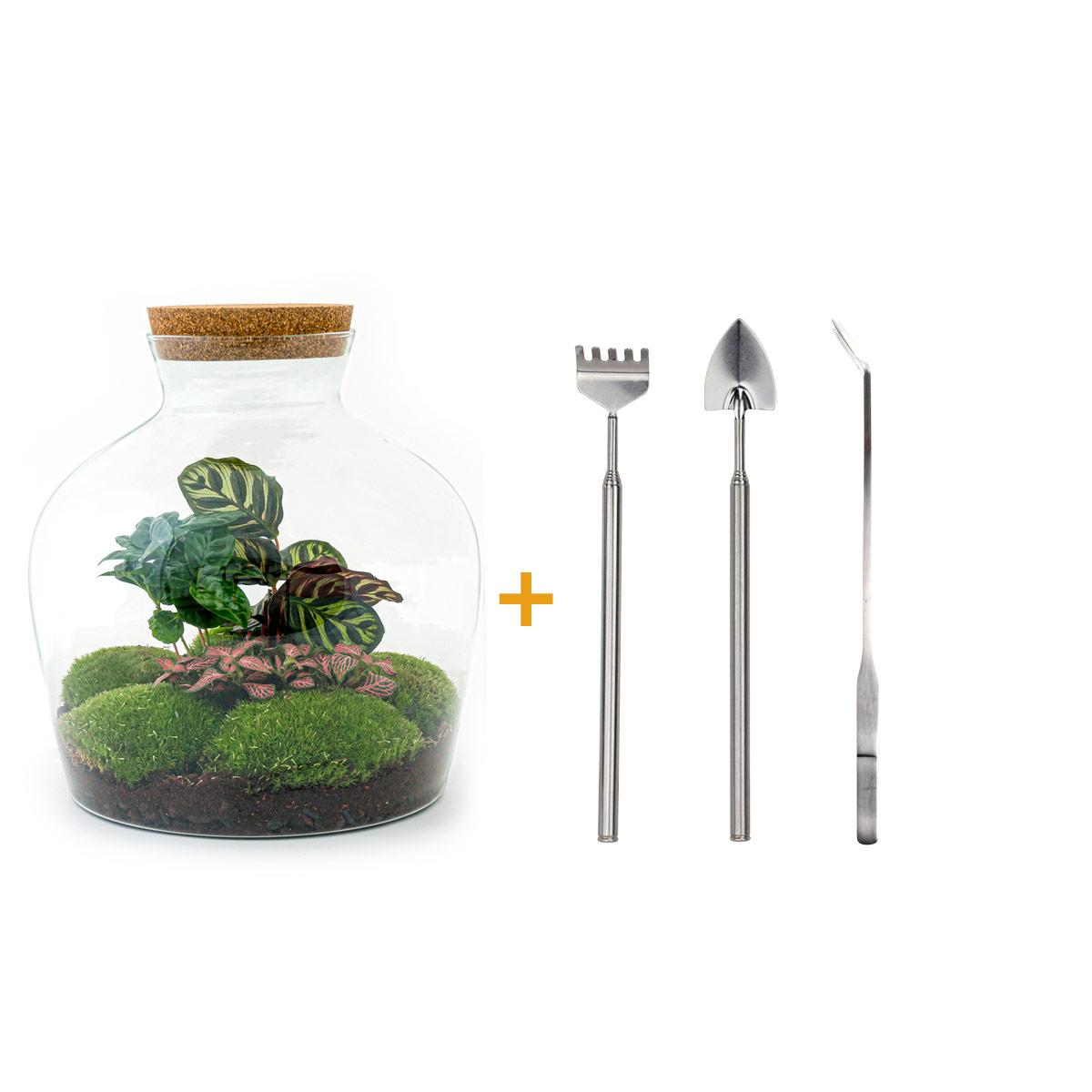 Flaschengarten – Fat Joe Coffea – 30 cm – Rechen + Schaufel + Pinzette