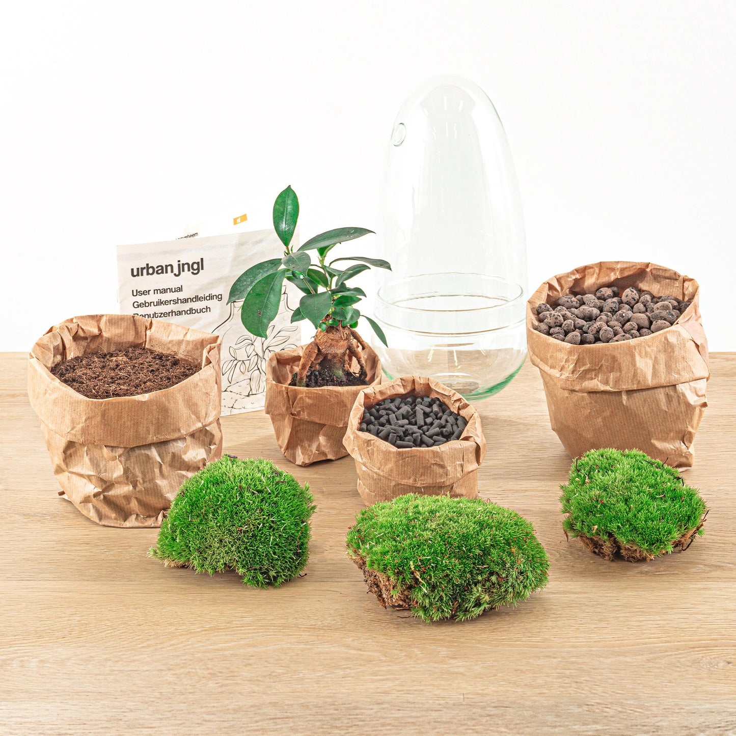 Flaschengarten – Egg Bonsai – 25 cm