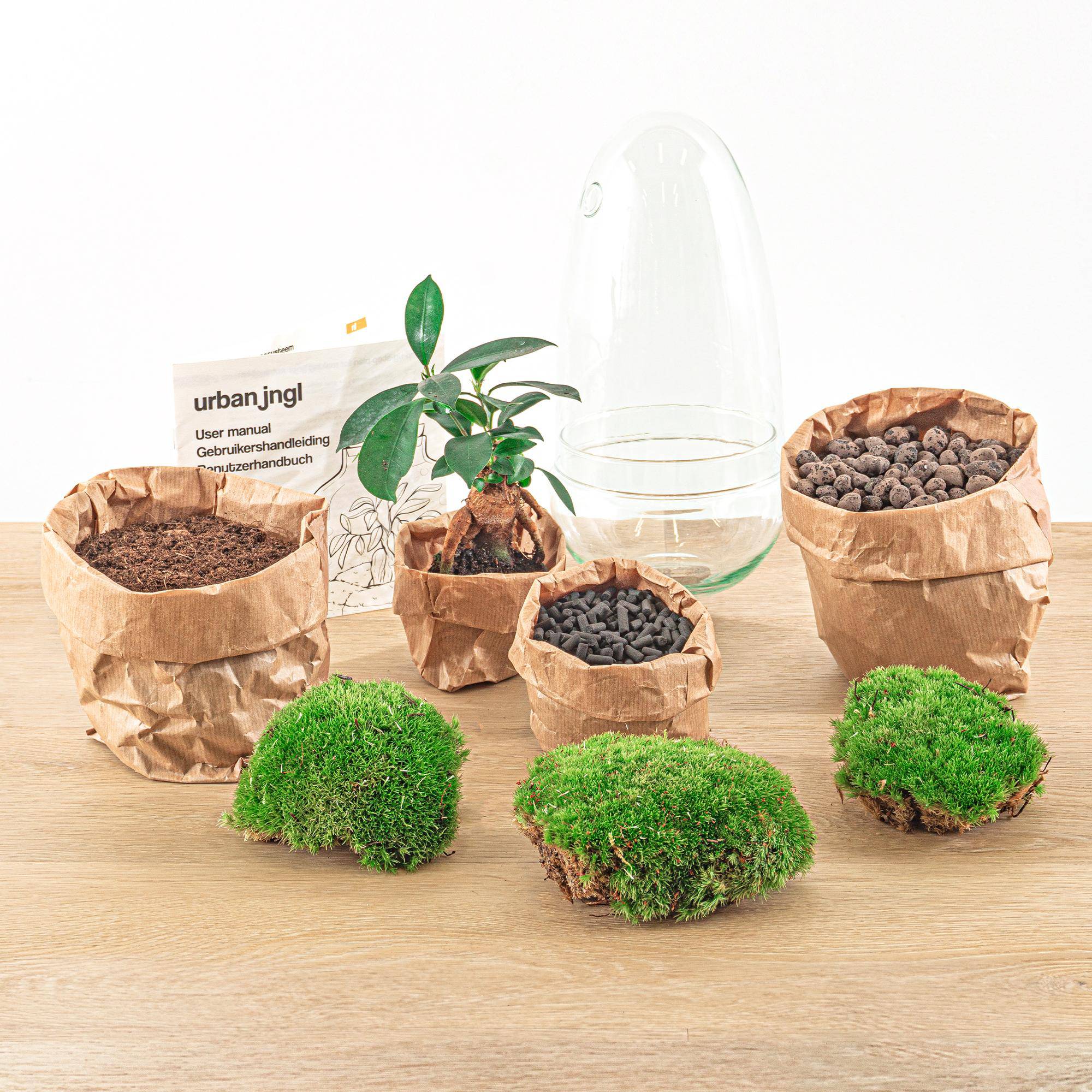 Flaschengarten – Egg Bonsai – 25 cm - Botanic-Vibes
