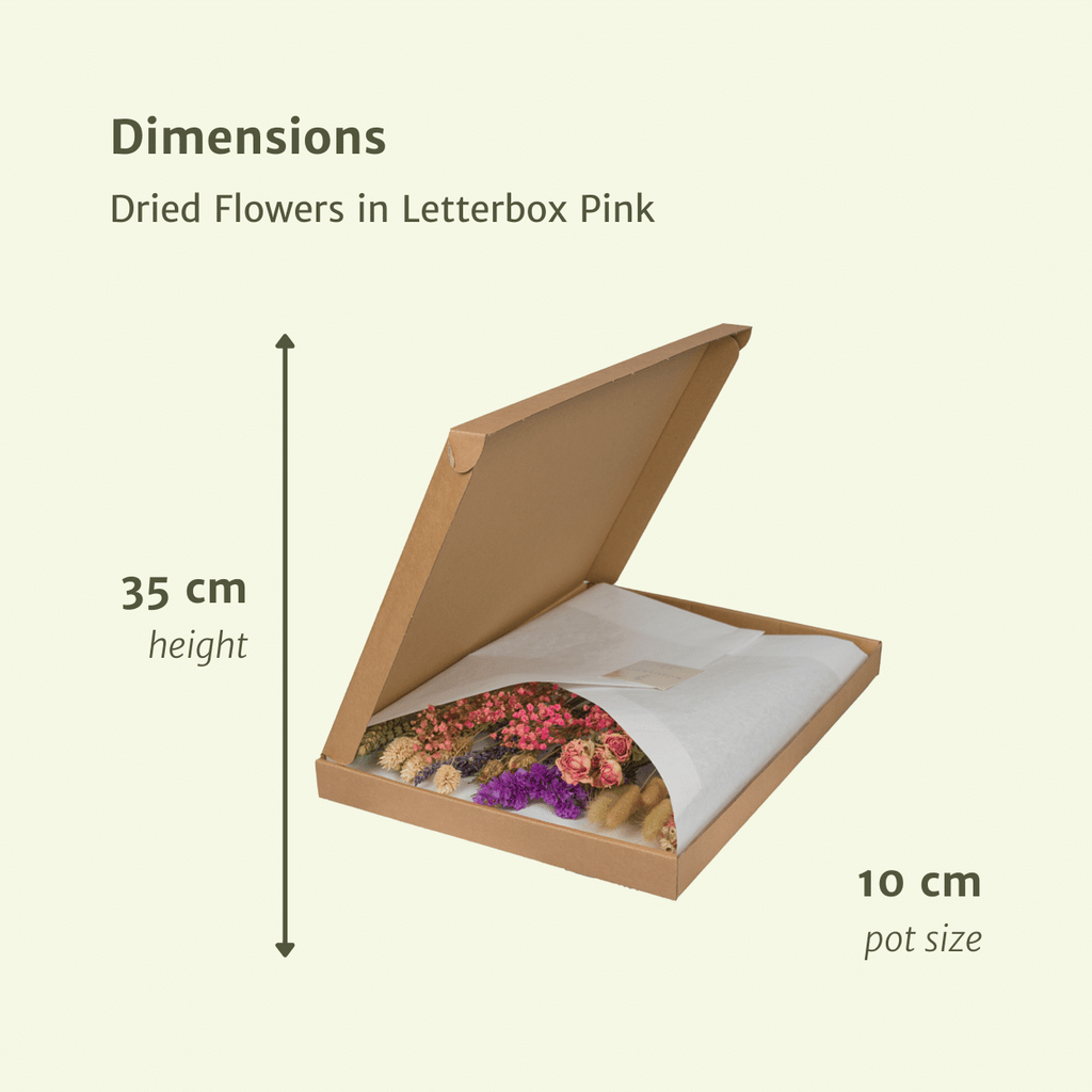 Trockenblumen im Briefkasten, Rosa