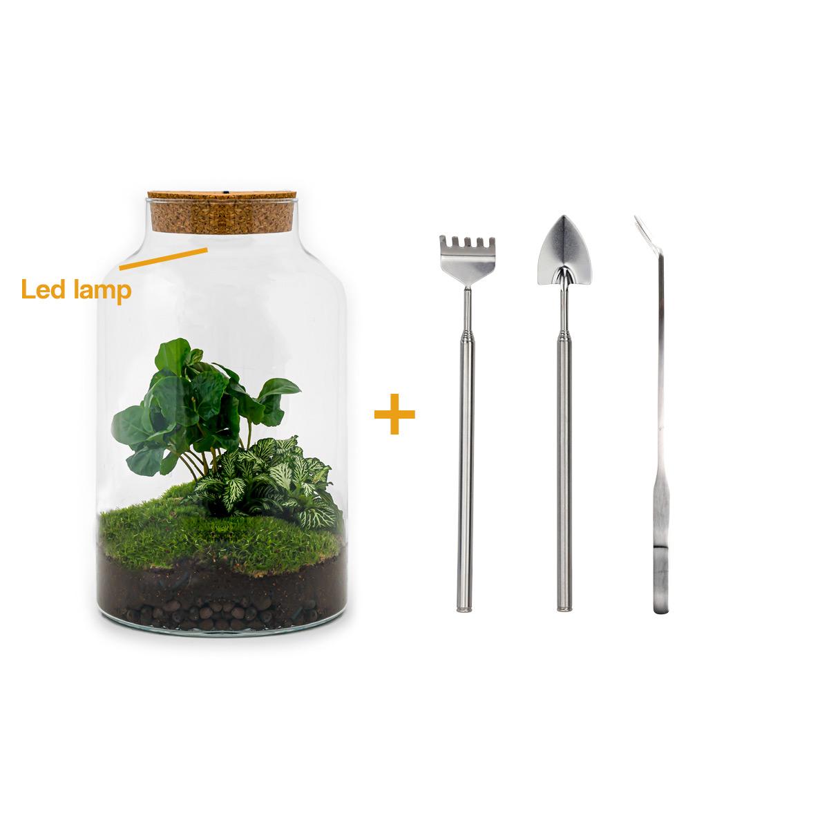 Flaschengarten – Milky Coffea mit Lampe – 31 cm – Rechen + Schaufel + Pinzette