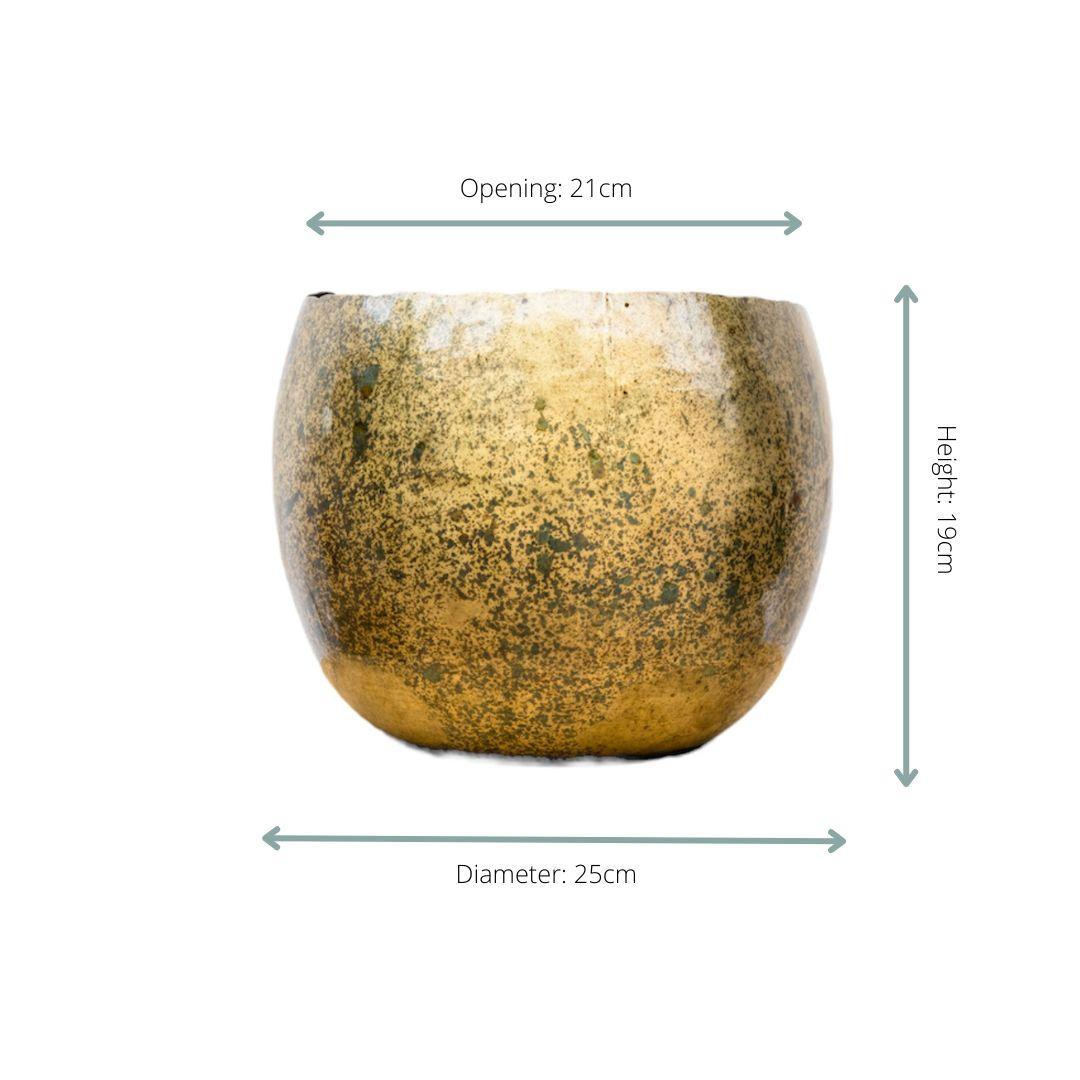 Ellen Brass – 25×19