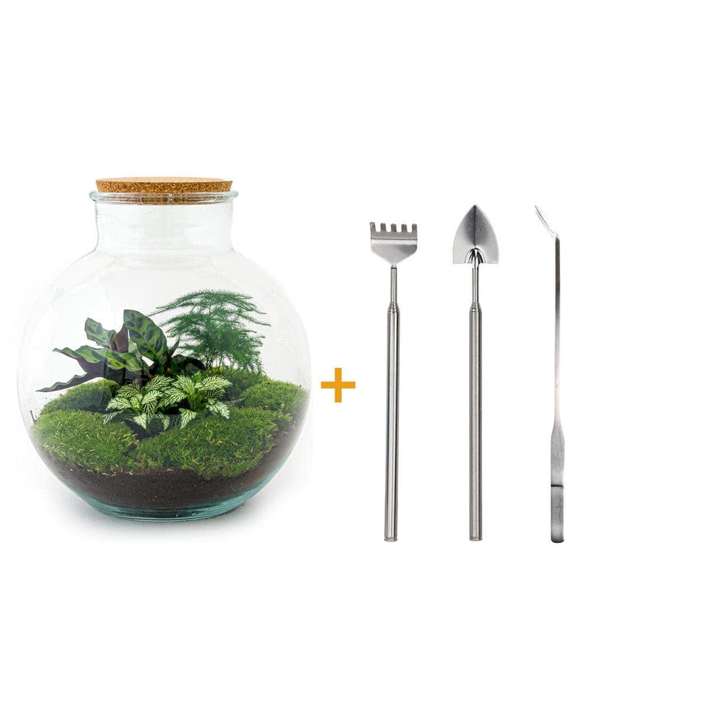Flaschengarten - Bolder Bob - Botanic-Vibes