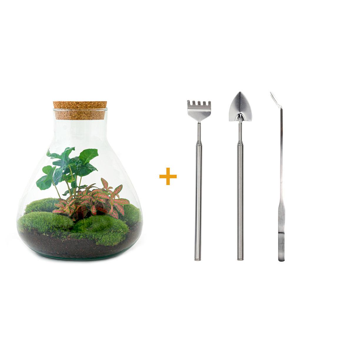 Flaschengarten – sammie coffea – 26 cm – Rechen + Schaufel + Pinzette