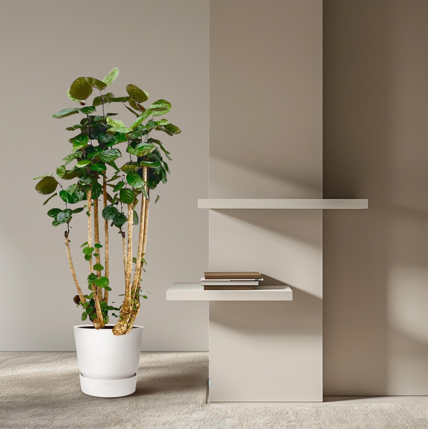 Polysicas Fabian XXL – 160 cm – Ø30