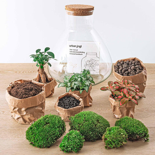 Flaschengarten – sam xl bonsai – 35 cm – Rechen + Schaufel + Pinzette