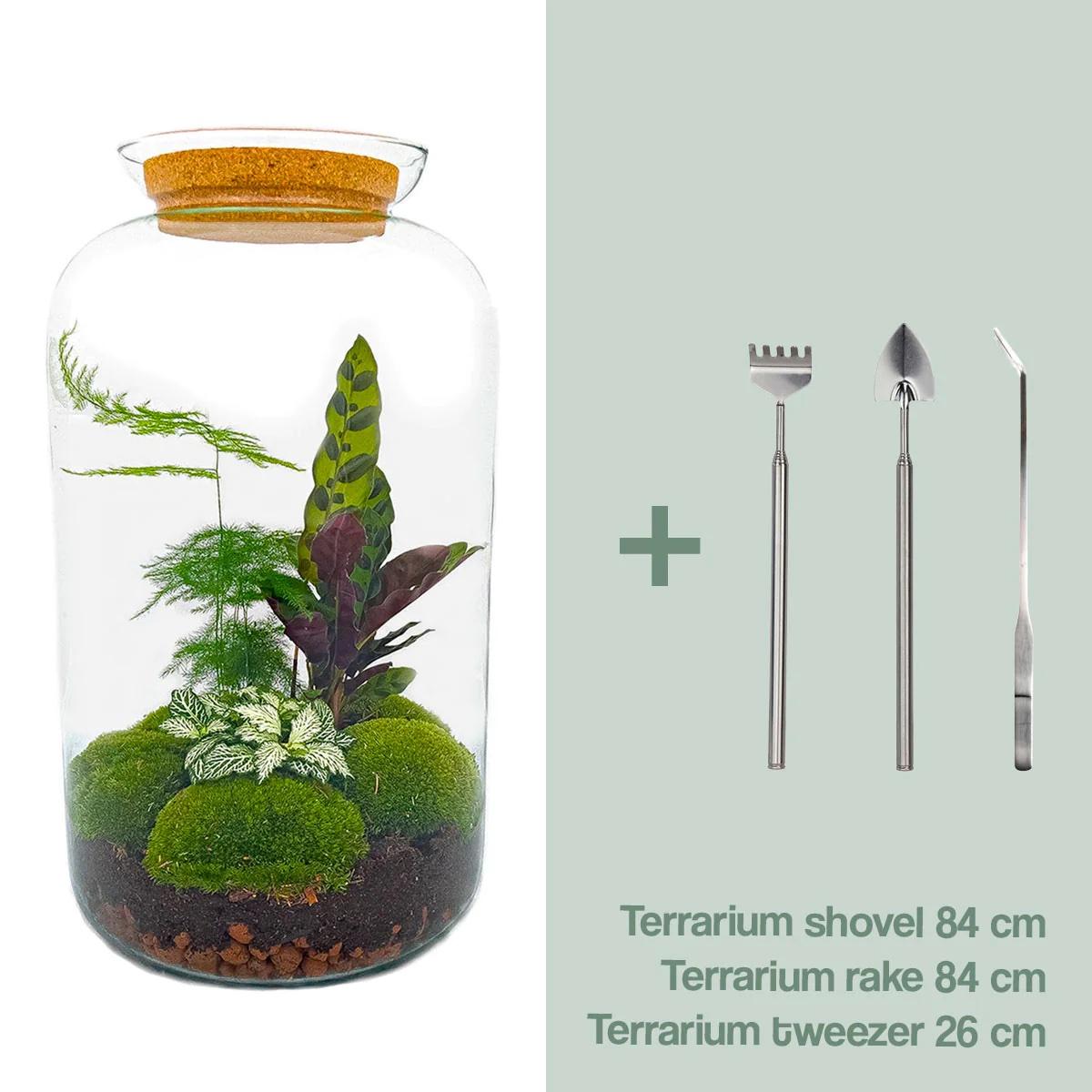 Flaschengarten – Botanical Sven XL – 43 cm – Rechen + Schaufel + Pinzette
