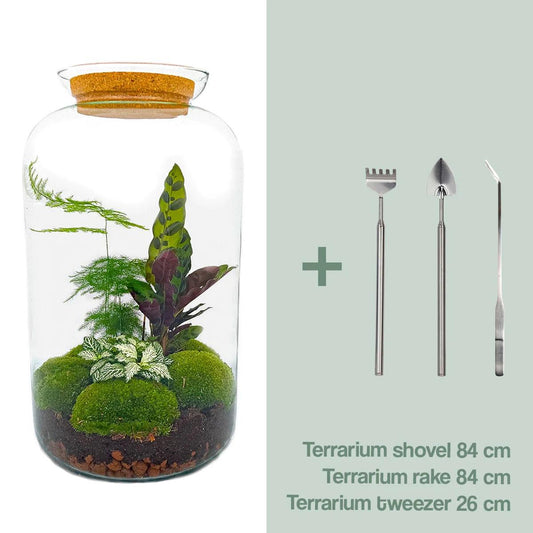 Flaschengarten – Botanical Sven XL – 43 cm – Rechen + Schaufel + Pinzette
