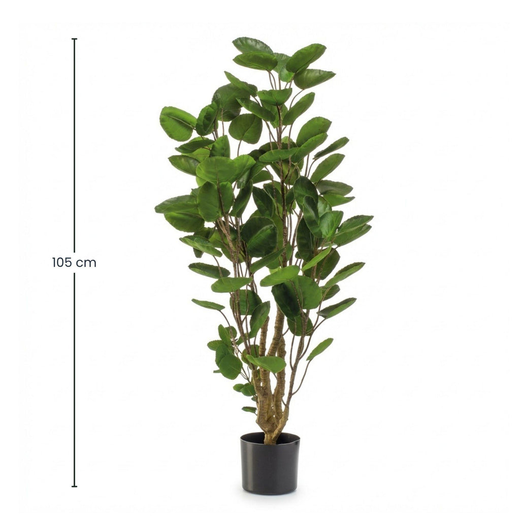 Kunstpflanze Polysciasbaum, 105 cm