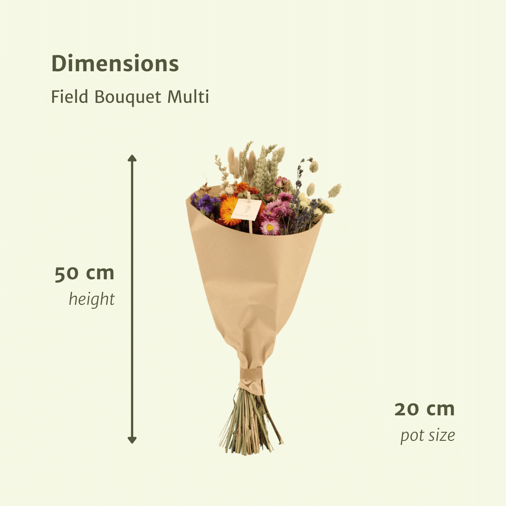 Trockenblumen Feldblumenstrauß Multi