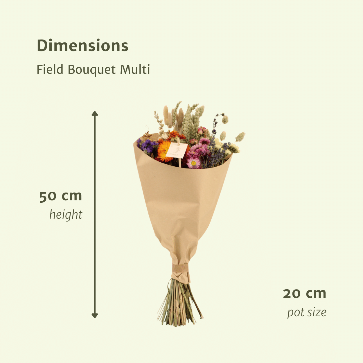 Trockenblumen Feldblumenstrauß Multi