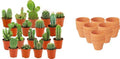 Mini Kakteen Mix, 18 Stück, Ø8 cm,1 cm, 5-10 cm, Terrakottatöpfe