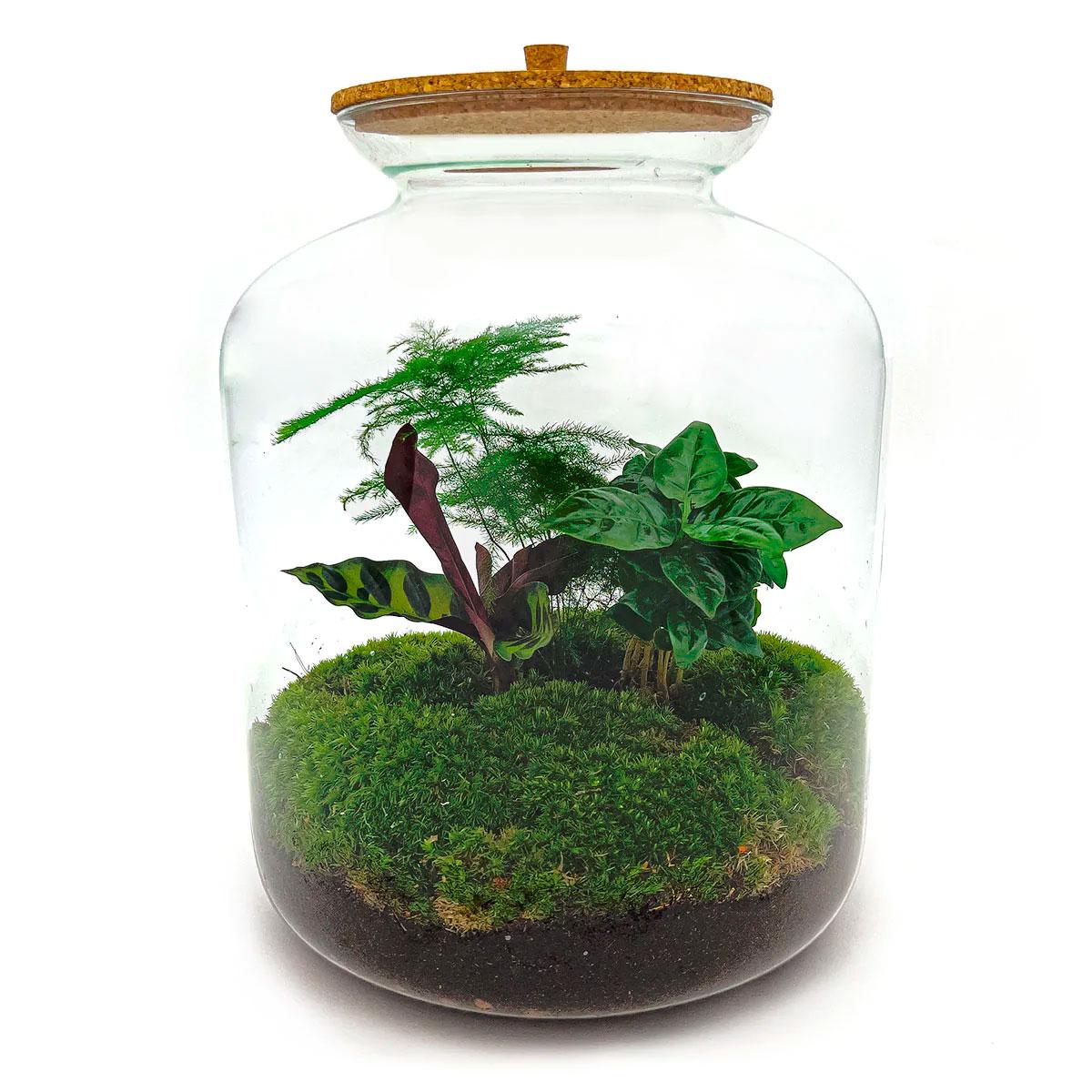 Flaschengarten – Lukas – 33 cm – Rechen + Schaufel + Pinzette + Schere