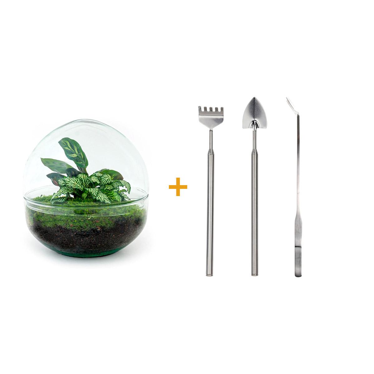 Flaschengarten – Dome – 20 cm – Rechen + Schaufel + Pinzette