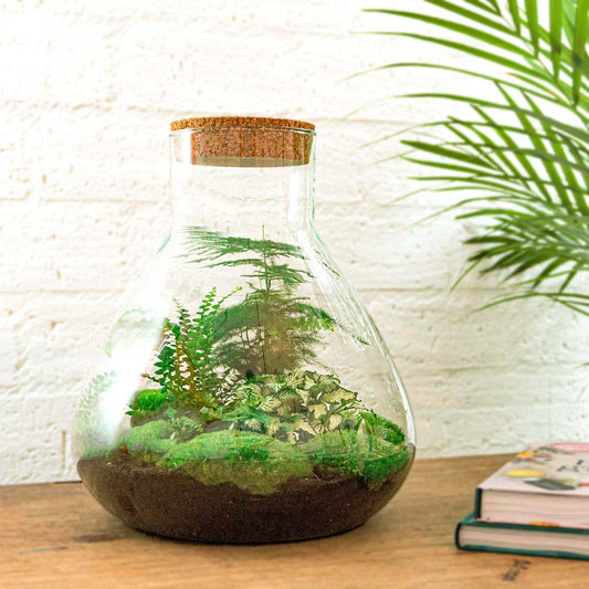 Flaschengarten – sam xl – 35 cm – Standardausführung