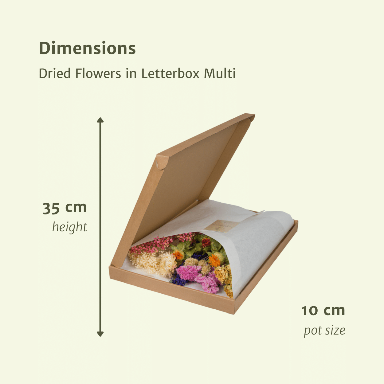 Trockenblumen im Briefkasten, Multi