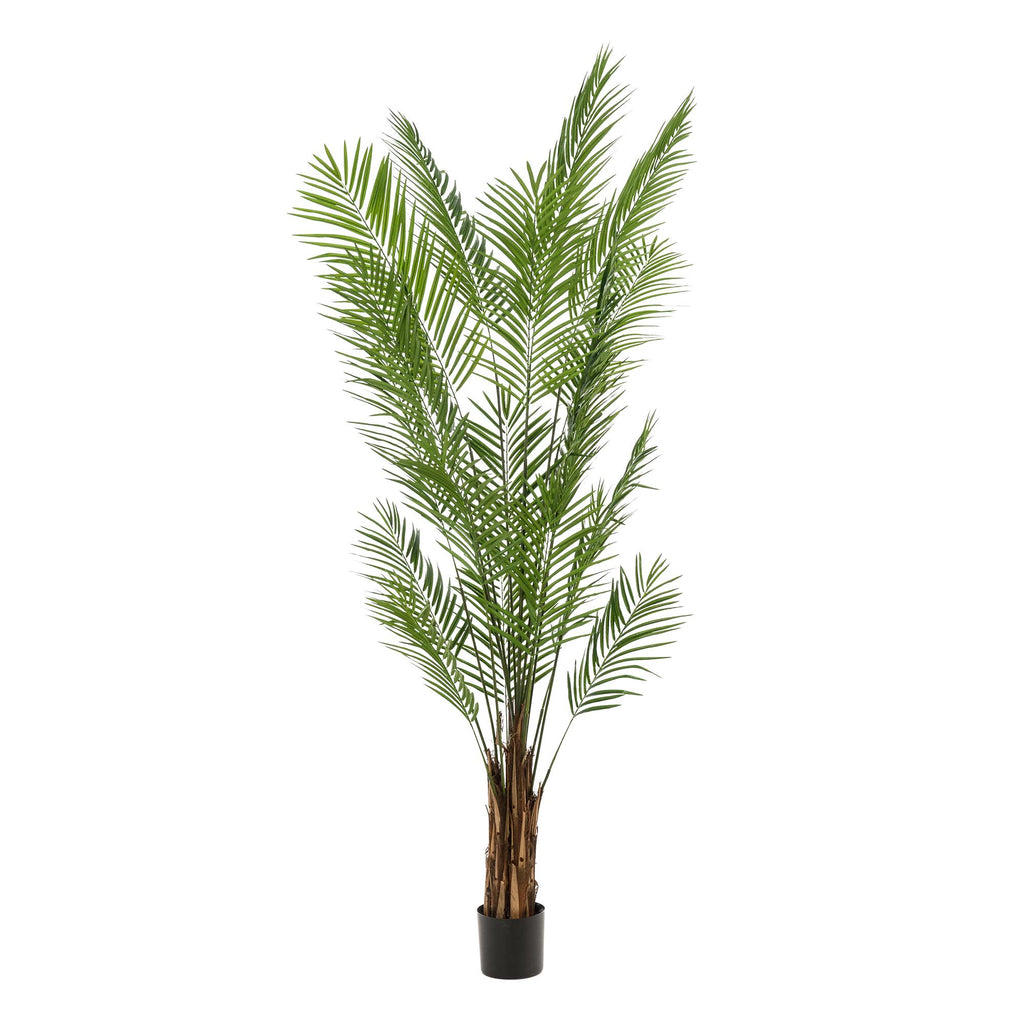 Kunstpflanzen, Areca Lutescens, Goldfruchtpalme, 240 cm