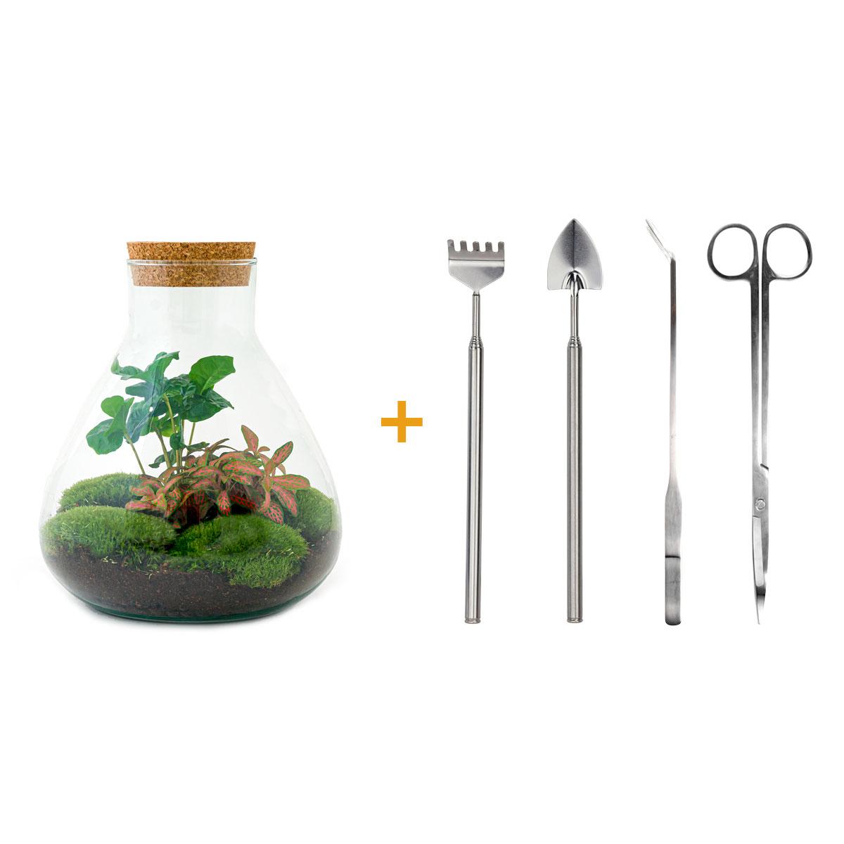 Flaschengarten – sammie coffea – 26 cm – Standardausführung