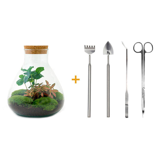 Flaschengarten – sammie coffea – 26 cm – Standardausführung