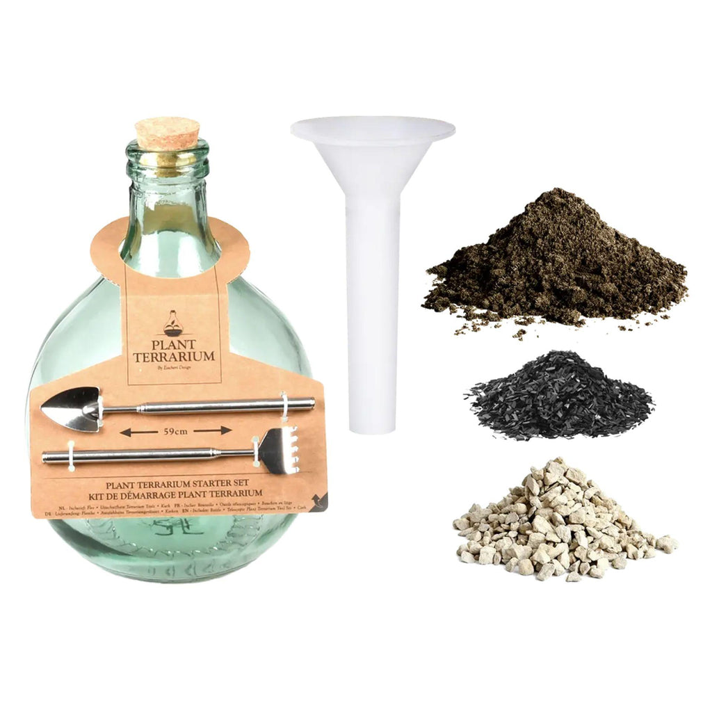 DIY Pflanze Terrarium Set 5L, Maak je eigen gesloten ecosysteem | In giftbox