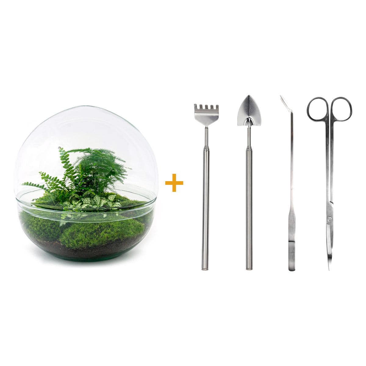 Flaschengarten – Dome XL – 30 cm – Rechen + Schaufel + Pinzette + Schere - Botanic-Vibes