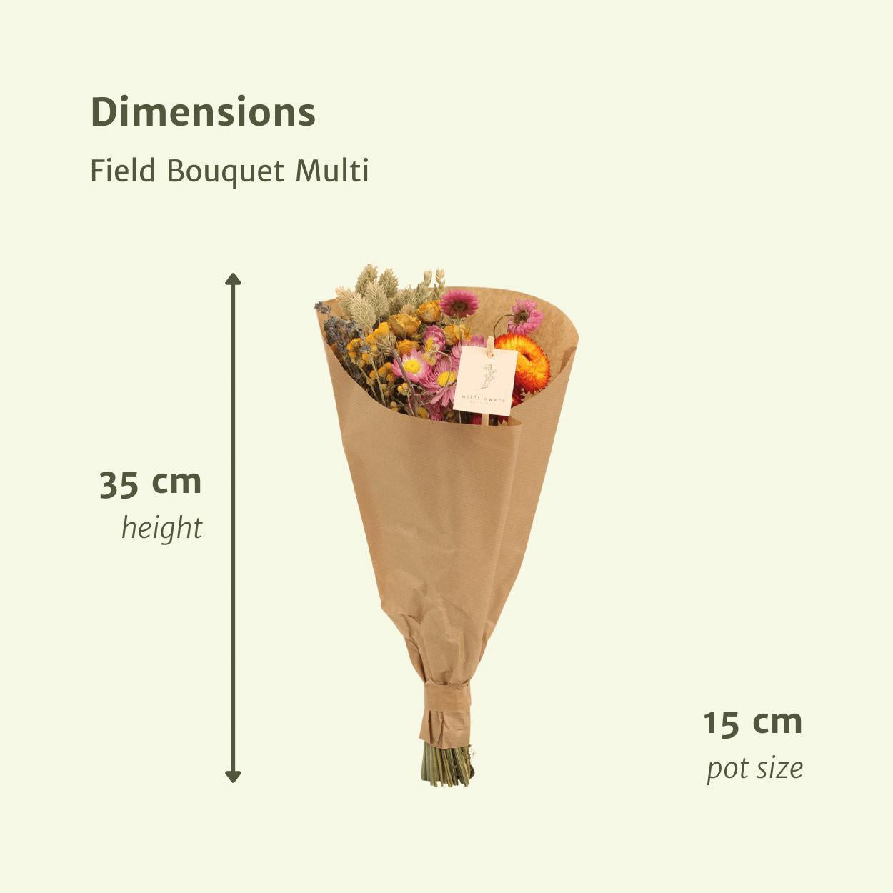 12x Feldstrauß Multi, Trockenblumenstrauß, 35 cm, Ø15 cm