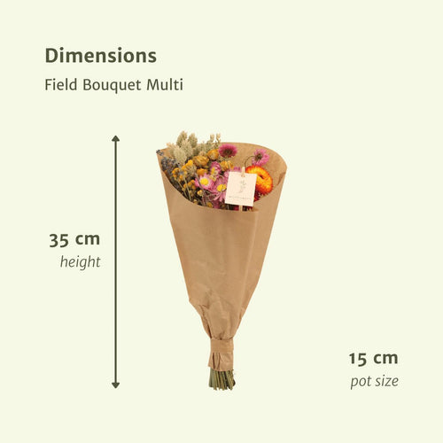 12x Feldstrauß Multi, Trockenblumenstrauß, 35 cm, Ø15 cm