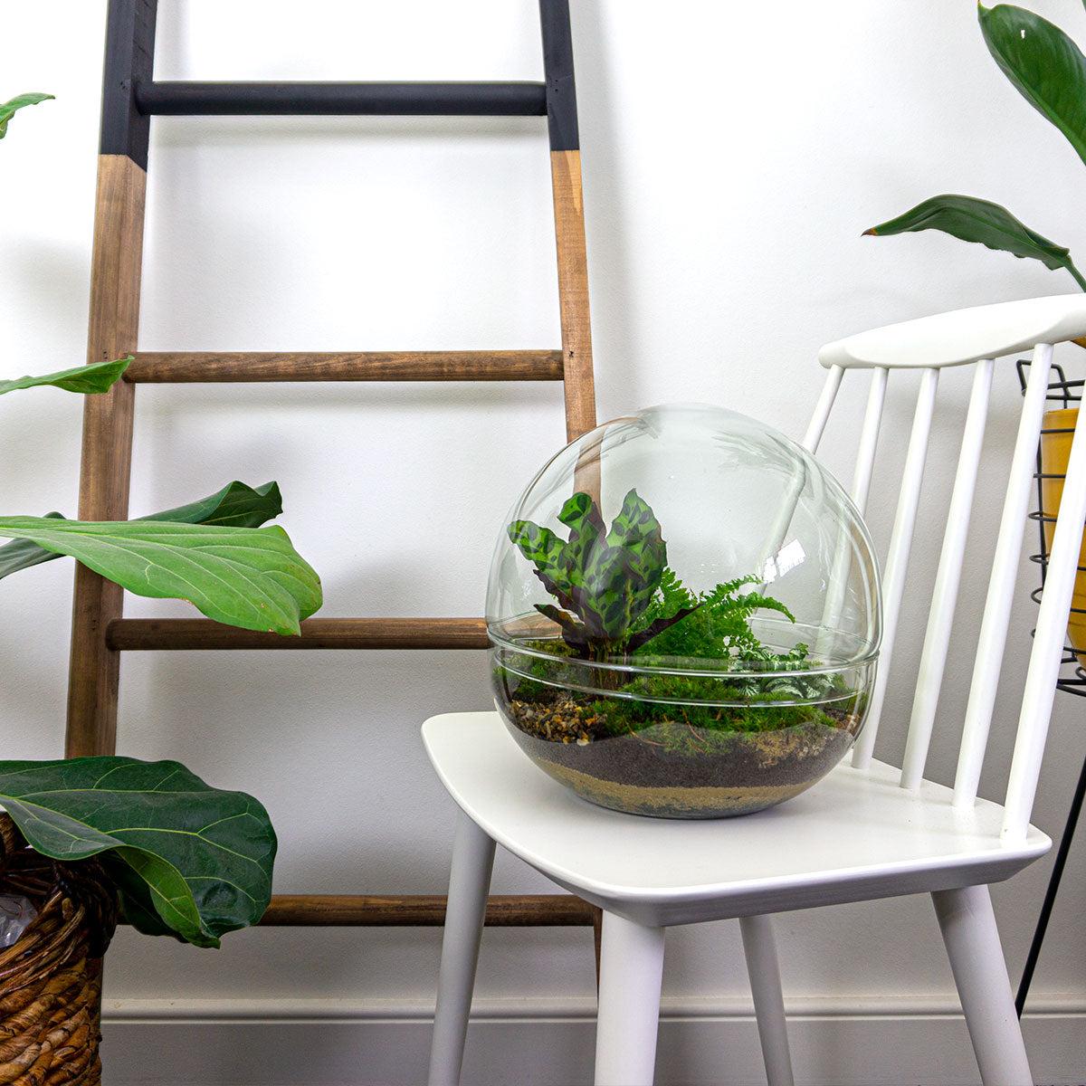Flaschengarten – Dome XL – 30 cm – Rechen + Schaufel + Pinzette