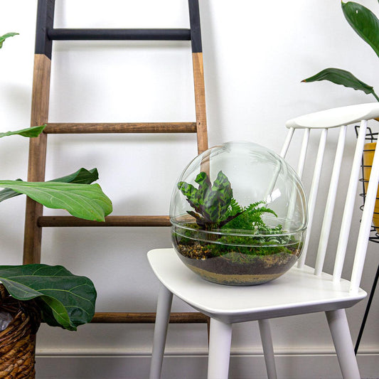 Flaschengarten – Dome XL – 30 cm – Rechen + Schaufel + Pinzette